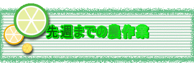 先週までの農作業