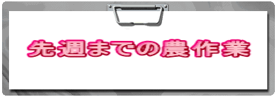 先週までの農作業