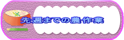 ��T�܂ł̔_���