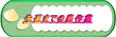 ��T�܂ł̔_���