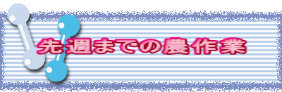 ��T�܂ł̔_���