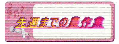 ��T�܂ł̔_���