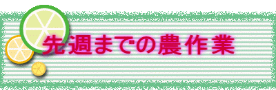 ��T�܂ł̔_���