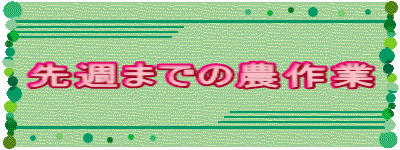 ��T�܂ł̔_���