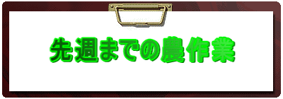 先週までの農作業