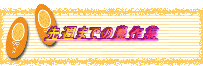 先週までの農作業