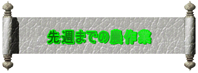 ��T�܂ł̔_��� 
