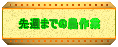 先週までの農作業