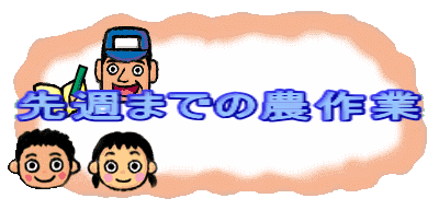 先週までの農作業