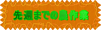 ��T�܂ł̔_���