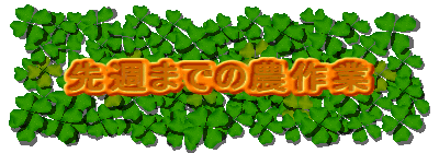 ��T�܂ł̔_���