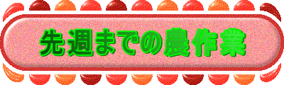 ��T�܂ł̔_���