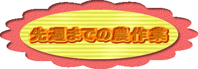 ��T�܂ł̔_���
