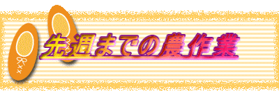 ��T�܂ł̔_���
