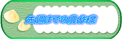 先週までの農作業