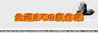��T�܂ł̔_��� 