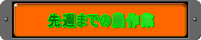 先週までの農作業