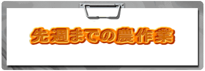 ��T�܂ł̔_���