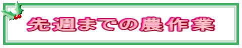 ��T�܂ł̔_���