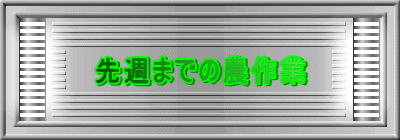 先週までの農作業