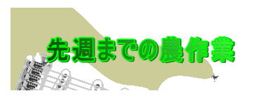 ��T�܂ł̔_���