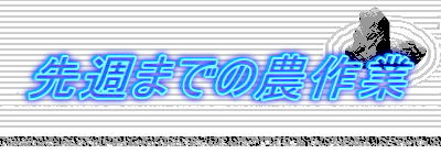 ��T�܂ł̔_���