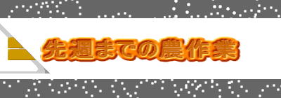 先週までの農作業