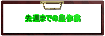先週までの農作業
