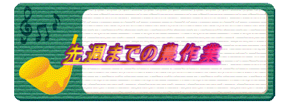 ��T�܂ł̔_���