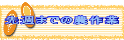 ��T�܂ł̔_���