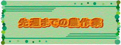 先週までの農作業
