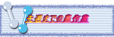 先週までの農作業