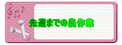 先週までの農作業