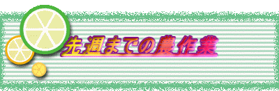 ��T�܂ł̔_���