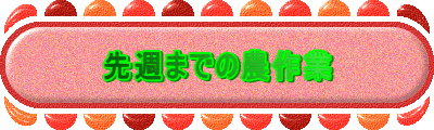 先週までの農作業