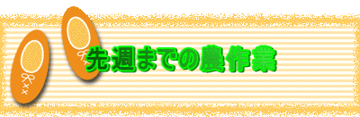 ��T�܂ł̔_���