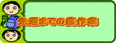 先週までの農作業