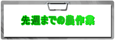 先週までの農作業