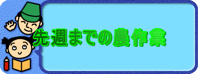 先週までの農作業