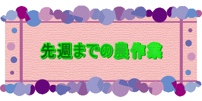 ��T�܂ł̔_���