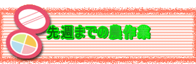 ��T�܂ł̔_���