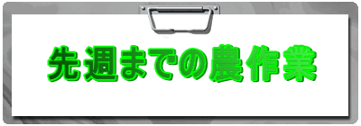 先週までの農作業