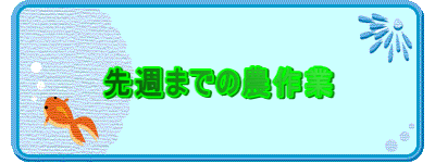 先週までの農作業