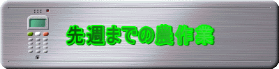 先週までの農作業