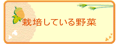 栽培している野菜