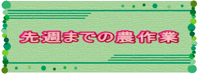 ��T�܂ł̔_���