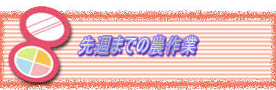 ��T�܂ł̔_���