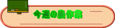 ���T�̔_���
