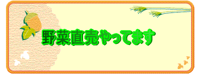 野菜直売やってます