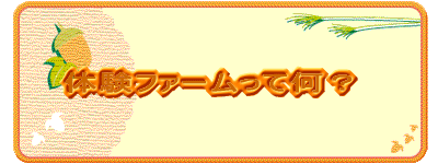 体験ファームって何?